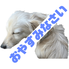 seira_20190324131221