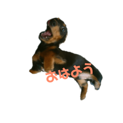 seira_20190324120132