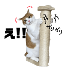 tono_20190324120300
