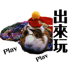 柑柑異想世界