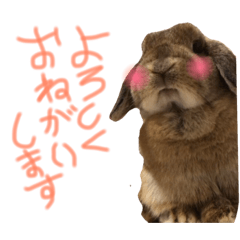 rinrin_rin stamp