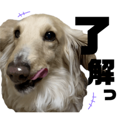 akane_20190325005218