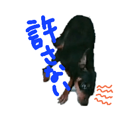 We love pocky_20190324172221