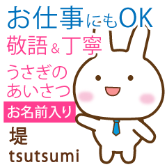 [TSUTSUMI]Polite greeting. Rabbit