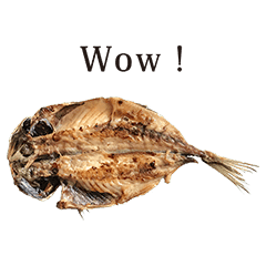 あじ 英語 あじ 英語