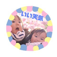 keihonosutanpu
