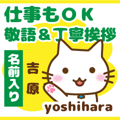 [YOSHIHARA]Polite greeting. animal Cat