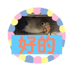 多多第二彈