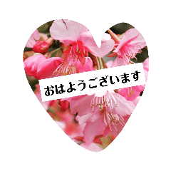 Heart & Flowers