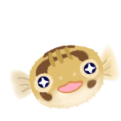 Baloonfish baby