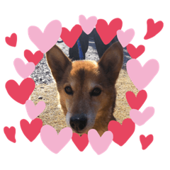 NANAMI_20190329090206