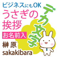 [SAKAKIBARA]Big letters. animal Rabbit