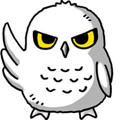 I love Owl! Part 3(White Owl)