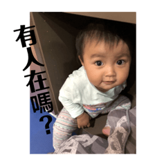 劉恩彤