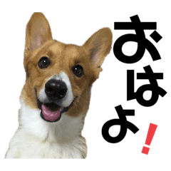 akane_20190325130249