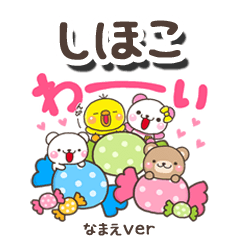 無難な【しほこ】専用のしろまるみんな