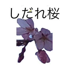 G_20190325113121