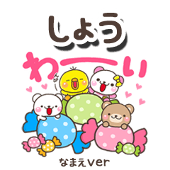 無難な【しょう】専用のしろまるみんな