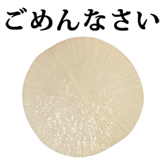 daikon wagiri 2 Text Japanese radish