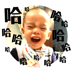 恐龍大字報