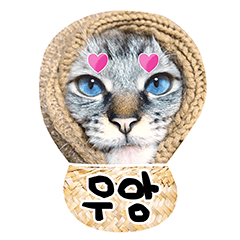 Cat Belle with positive mood (Korean)