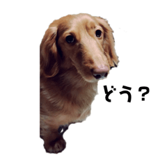 nanami_20190326011028