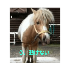 Naka_20190326024151