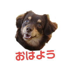 hide_20190326031229