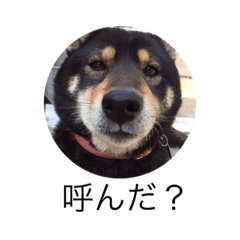 olivia_20190326021438