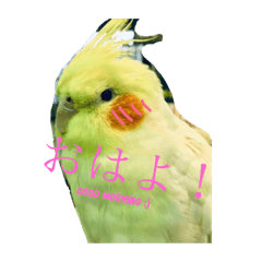 Animal Stickers :)