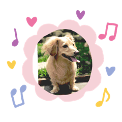 我家的專屬貼圖