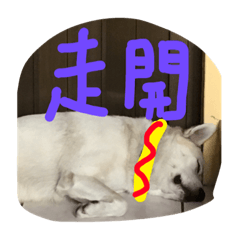布丁講話