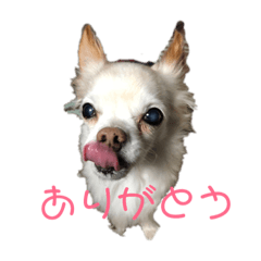 seira_20190326214840