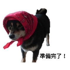 hayato_20190327154715