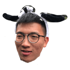 羊駝第二彈