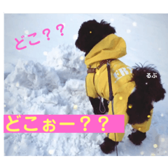 kuu_20190327185133