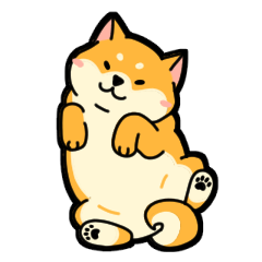 Cute chubby Shiba Inu for Shiba lover 6