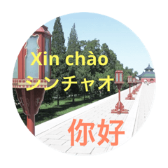 Vietnamese and Chinese Mandarin