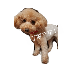 CoCoa_20190327205828