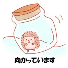 PC words Cute animal Hedgehog
