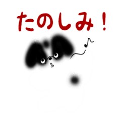 fluffy japanese chin "NISE-CHAN"