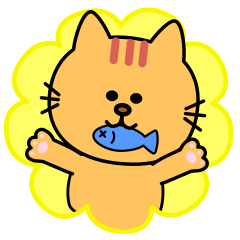 tabby cat torachan
