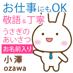 [OZAWA]Polite greeting. Rabbit!