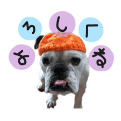 n Sama