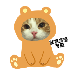 貪吃貓多多