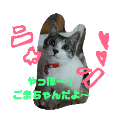 minami_20190328092421