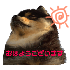 nonta_20190328093541
