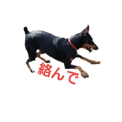 Ken_20190328001357