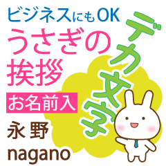 [NAGANO]Big letters. animal Rabbit!