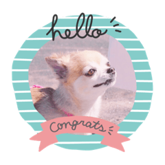 hana_20190328191826